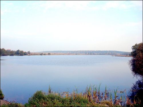  - Ulice miasta . Staw