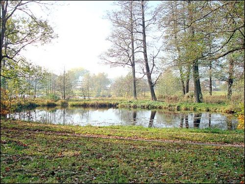 Wielkie Soleczniki. Zespół pałacowo-parkowy 