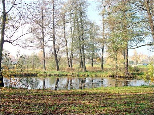 Wielkie Soleczniki. Zespół pałacowo-parkowy 