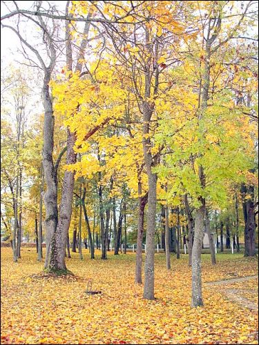 Wielkie Soleczniki. Zespół pałacowo-parkowy 