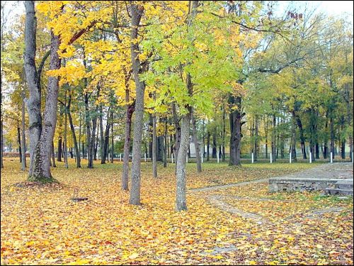 Wielkie Soleczniki. Zespół pałacowo-parkowy 