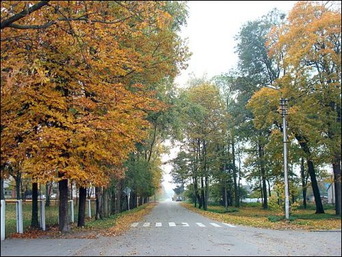 Wielkie Soleczniki. Zespół pałacowo-parkowy 