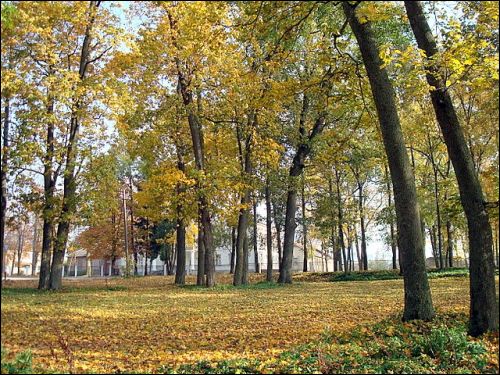 Wielkie Soleczniki. Zespół pałacowo-parkowy 