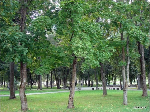 Švenčionys. Landscapes 