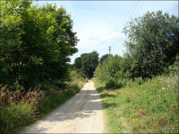 Daniliškės. Landscapes 