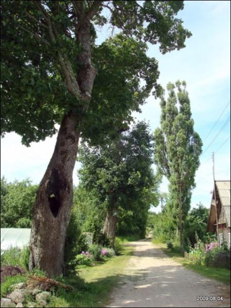 Daniliškės. Landscapes 