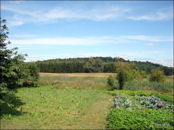 Daniliškės. Landscapes 