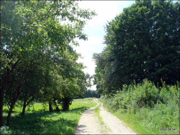 Daniliškės. Landscapes 