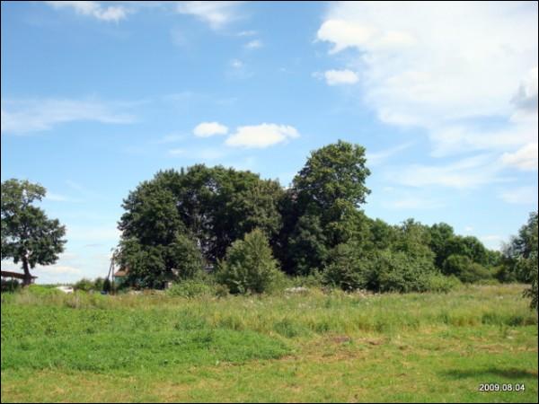 Daniliškės. Landscapes 