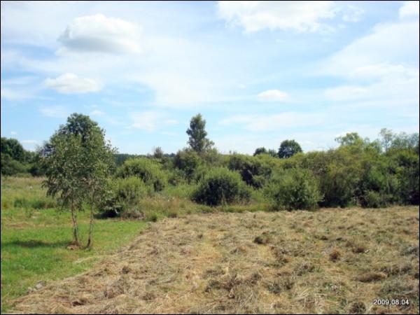 Daniliškės. Landscapes 
