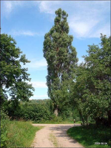 Daniliškės. Landscapes 