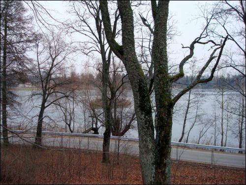  - Estate of Tyszkiewicz. 