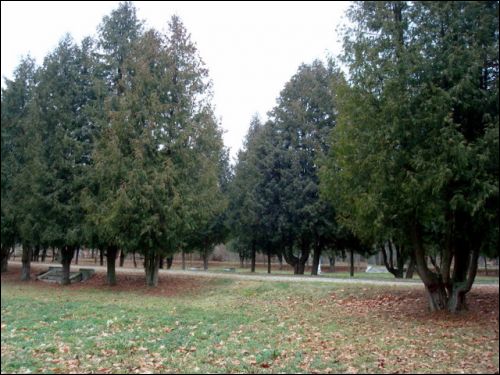  - Estate of Tyszkiewicz. 