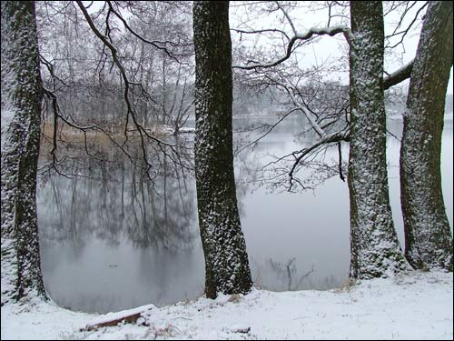 Троки (Тракай). Пейзажи 