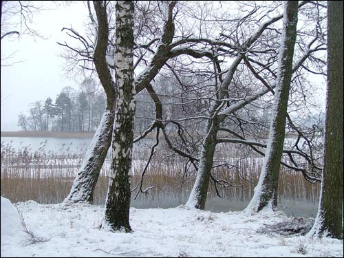 Троки (Тракай). Пейзажи 