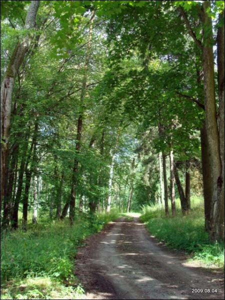 Užutrakis. Estate of Tyszkiewicz