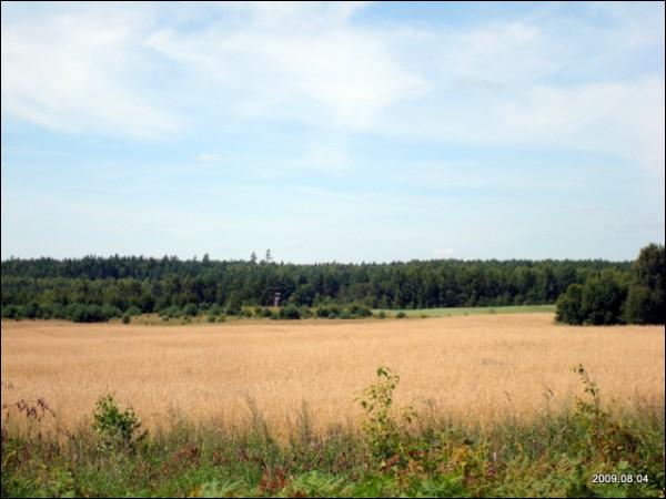 Гута (Вітаўтава). Краявіды 