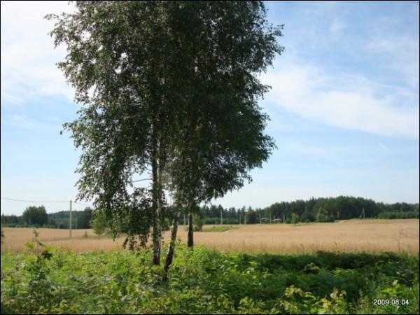 Гута (Вітаўтава). Краявіды 