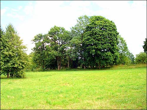 Anavilis. Manor of Jeleński