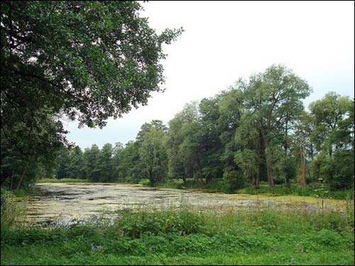  - Estate of Łęski. 