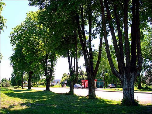  - Краявіды . 