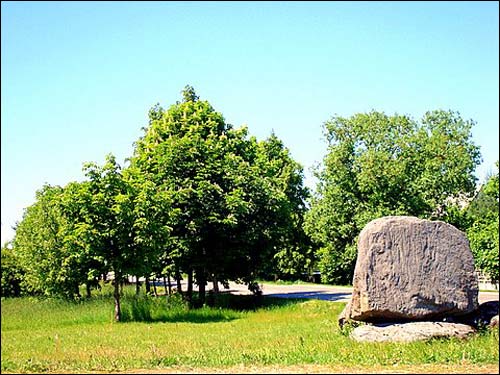  - Краявіды . 