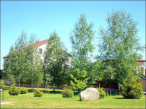  - Краявіды . 