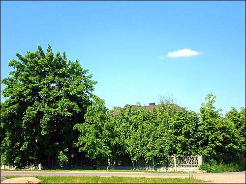  - Краявіды . 