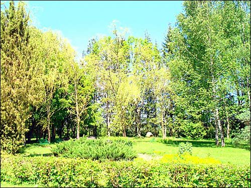  - Landscapes . 