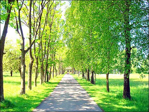  - Landscapes . 