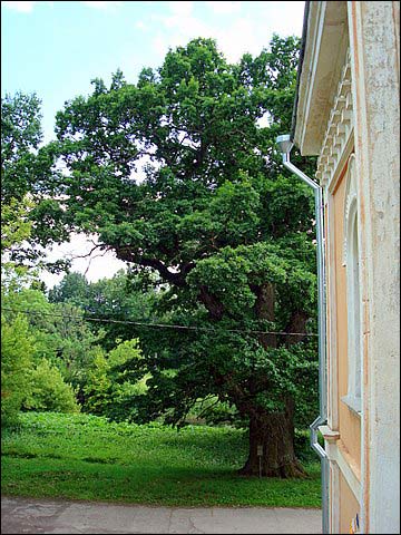 Glinciszki. Zespół pałacowo-parkowy Jeleńskich
