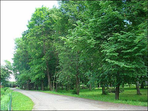 Glinciszki. Zespół pałacowo-parkowy Jeleńskich