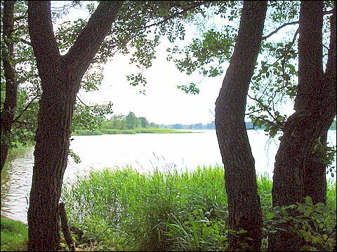 Glinciszki. Zespół pałacowo-parkowy Jeleńskich