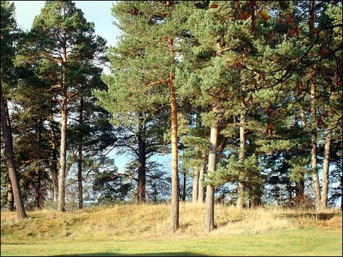 Kojrany. Zespół dworsko-parkowy Łopacińskich