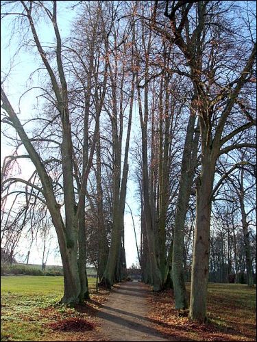 Kojrany. Zespół dworsko-parkowy Łopacińskich