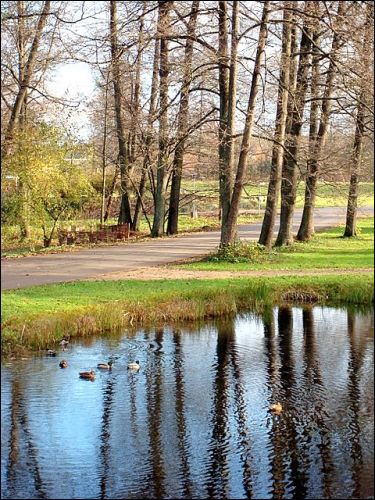 Kojrany. Zespół dworsko-parkowy Łopacińskich