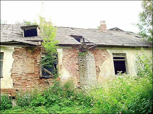  - Zespół dworsko-parkowy . Fragment dworu, 07 2008