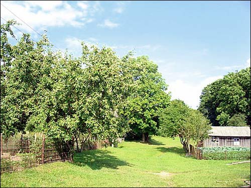  - Zespół dworsko-parkowy . Na terenie posiadłości, 07 2008