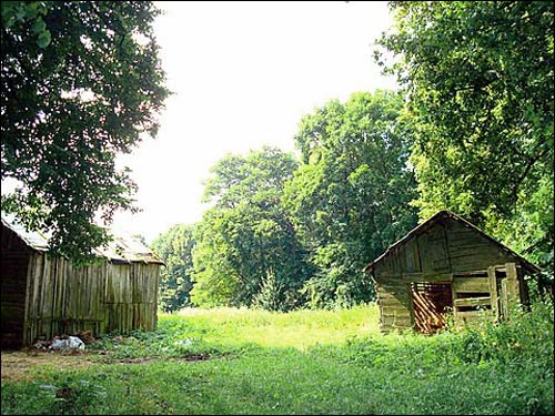 - Zespół dworsko-parkowy . Teren posiadłości, 07 2008
