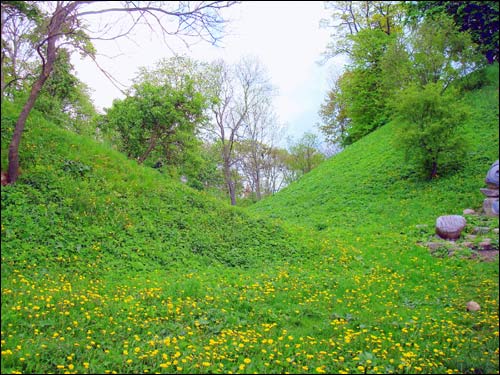 Mejszagoła. Grodzisko 