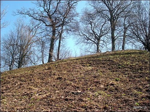Maišiagala. Site of ancient settlement 