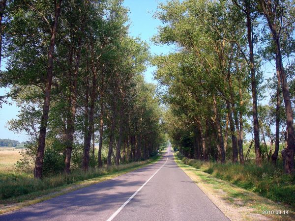 Maišiagala. Landscapes 