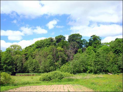 Maišiagala. Landscapes 