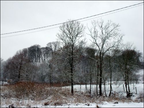 Maišiagala. Landscapes 
