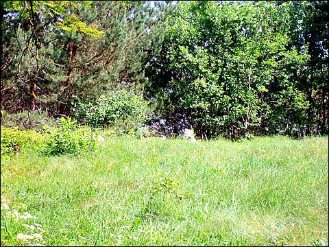 Mejszagoła. Cmentarz żydowski