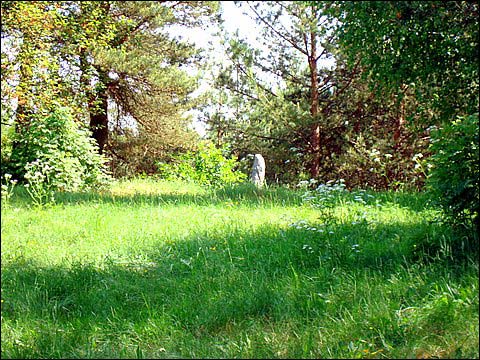 Mejszagoła. Cmentarz żydowski