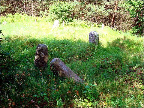 Mejszagoła. Cmentarz żydowski