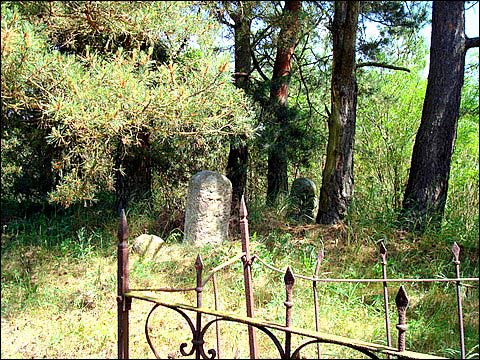 Mejszagoła. Cmentarz żydowski