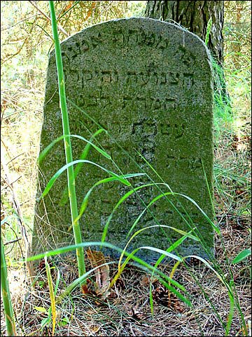 Mejszagoła. Cmentarz żydowski