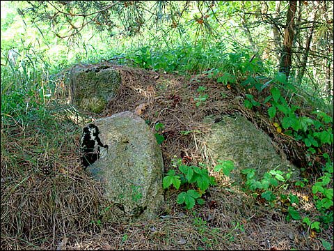 Mejszagoła. Cmentarz żydowski
